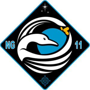 NG-11_patch